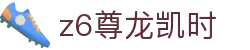 Z6尊龙·凯时(中国) - 官方网站